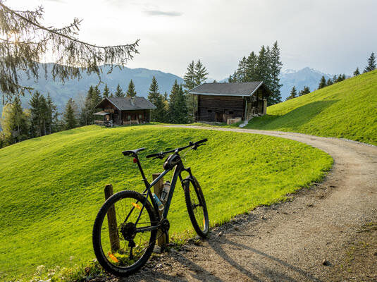 Ein Mountainbike steht auf einem Weg, umgeben von grünen Wiesen und Berghütten mit Bergen im Hintergrund.