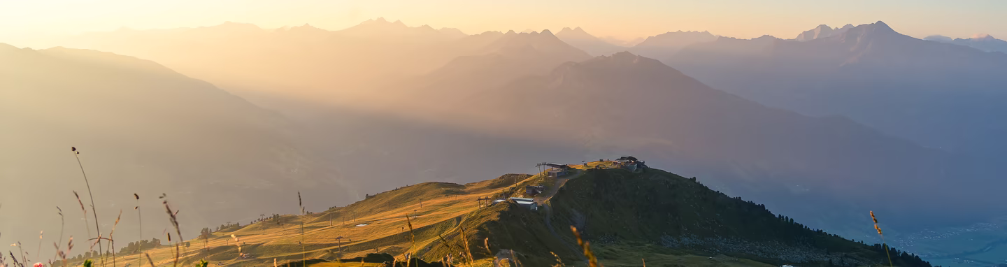 Eine malerische Berglandschaft bei Sonnenaufgang am Kaltenbacher Wetterkreuz. Sanfte Hügel mit blühenden Pflanzen im Vordergrund, im Hintergrund erstrecken sich die Berge im Morgenlicht. 